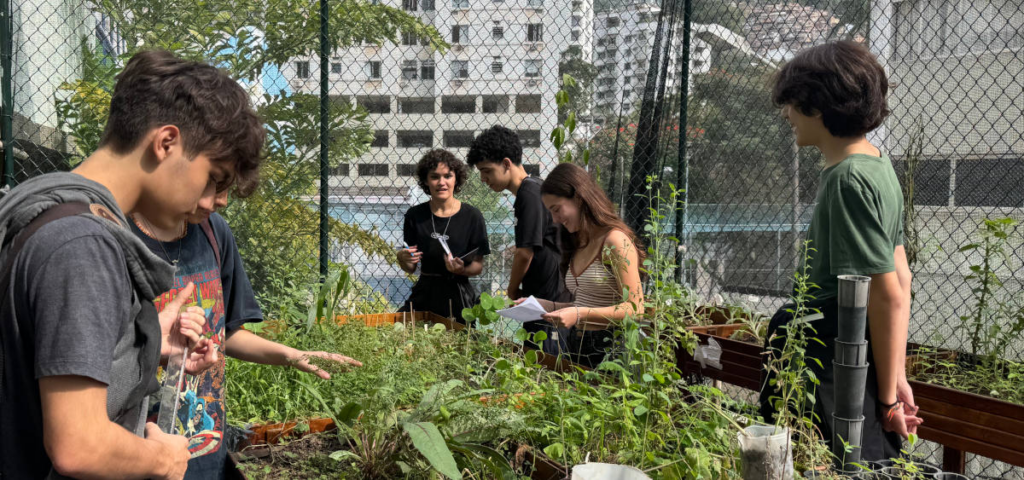 Alunos e alunas do CSVP exploram a horta do colégio e colocam em prática aprendizados de sala de aula