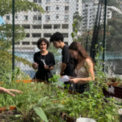 Alunos e alunas do CSVP exploram a horta do colégio e colocam em prática aprendizados de sala de aula