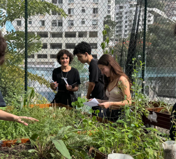 Alunos e alunas do CSVP exploram a horta do colégio e colocam em prática aprendizados de sala de aula
